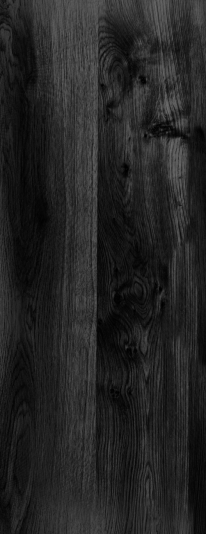 Charred wood