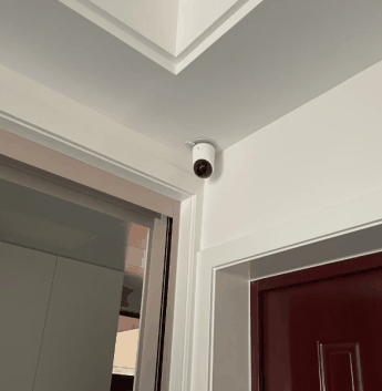 Entry camera