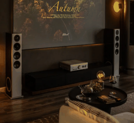 Audio equipment