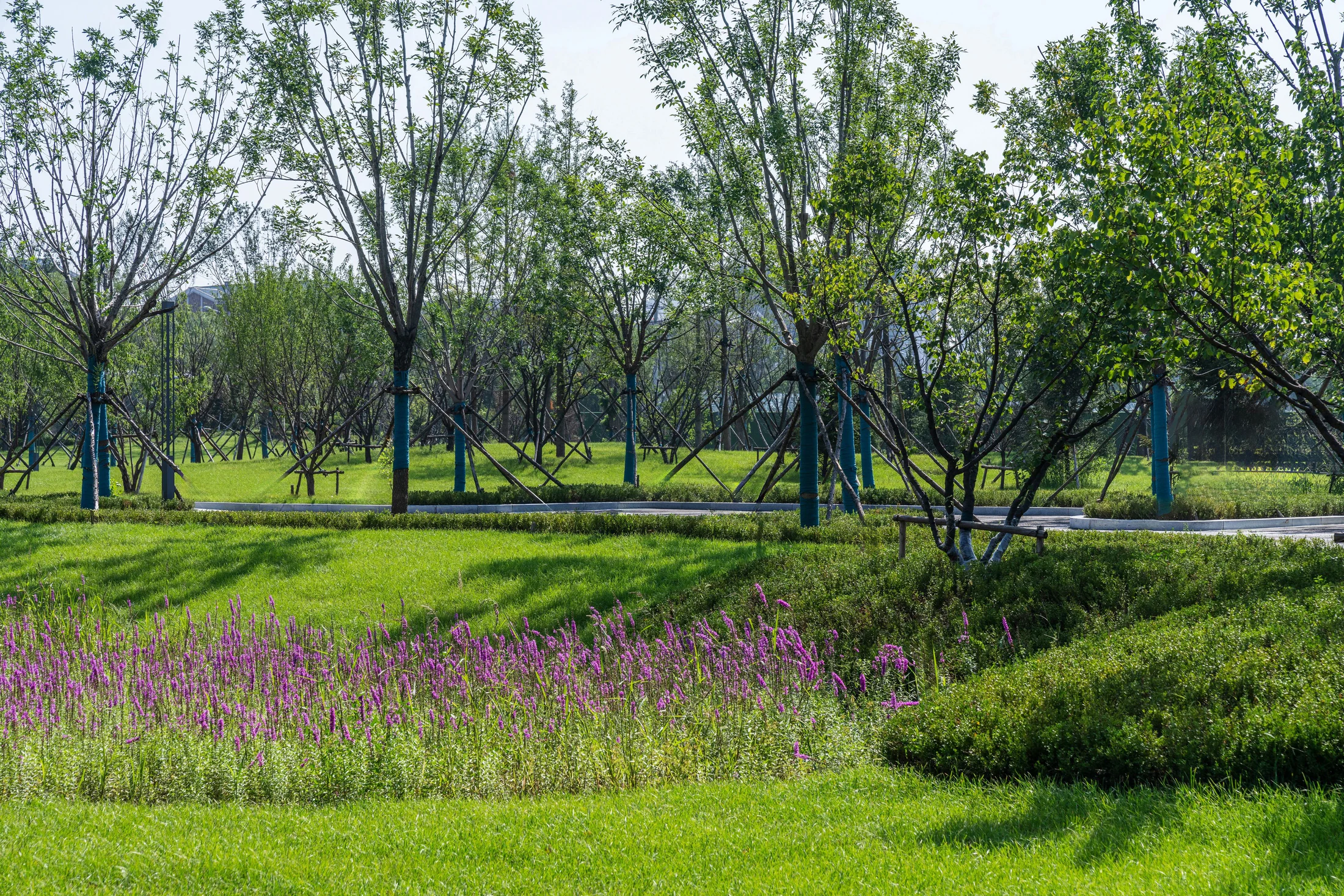HOMESEE Shenyang Industrial Park Architecture Design Case 060 architecture case image 07
