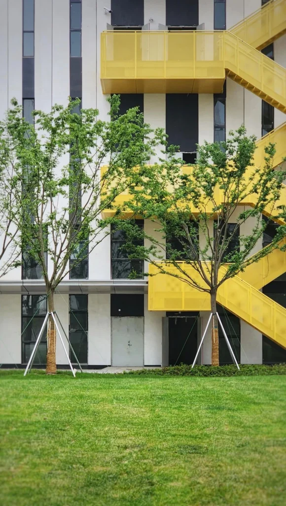 HOMESEE Suzhou Industrial Park Architecture Design Case 065 architecture case image 10