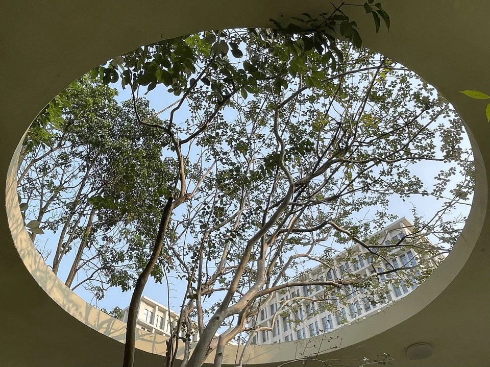 HOMESEE Guangzhou Biomedical Campus Architecture Design Case 072 architecture case image 03