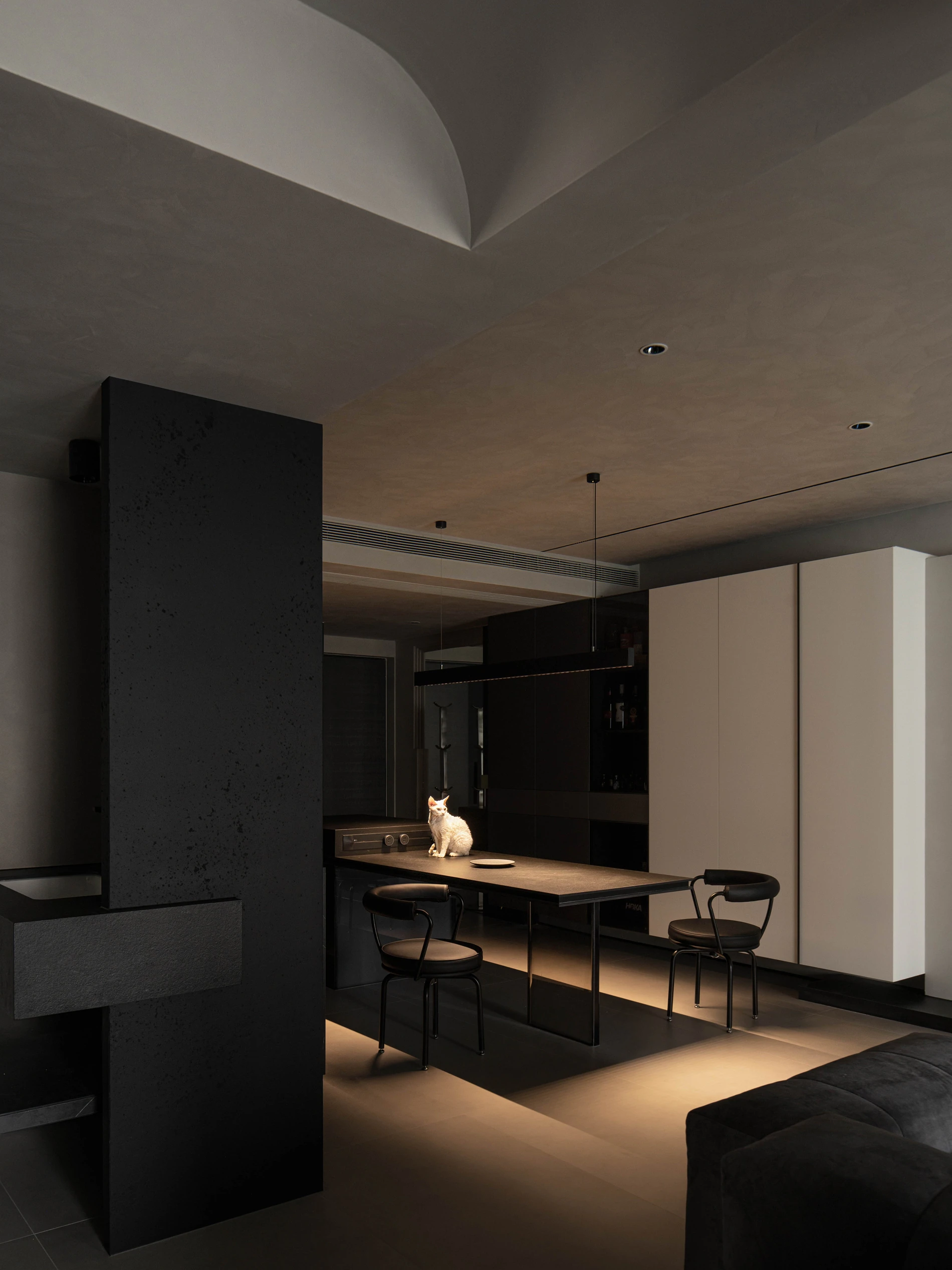 HOMESEE Black Elegance Modern Simple Residence interior design case image 10